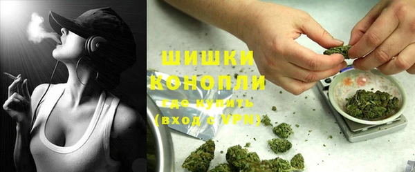 индика Арсеньев